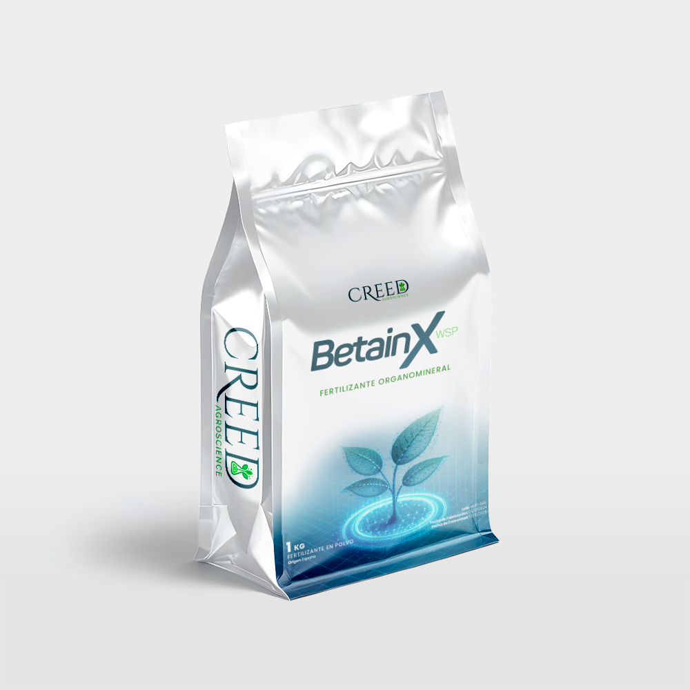 Creed – Frente BetainX 2