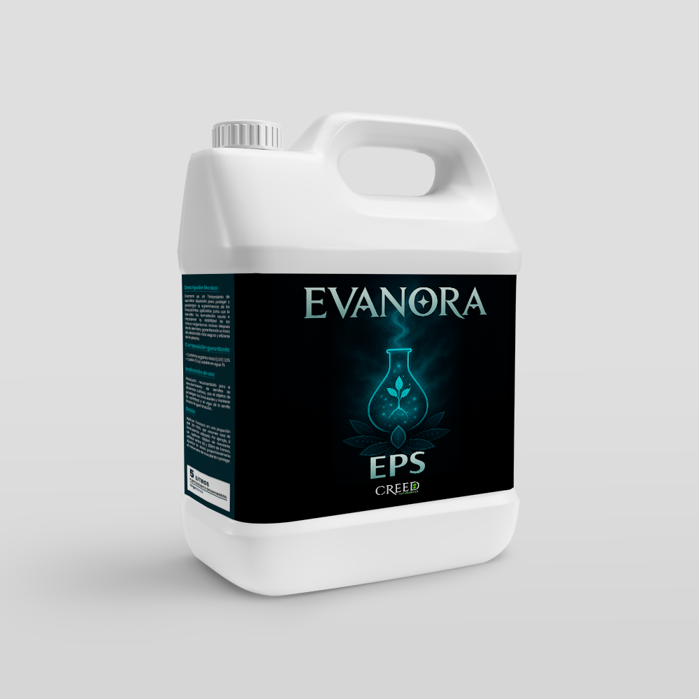 Creed – Frente Evanora 2