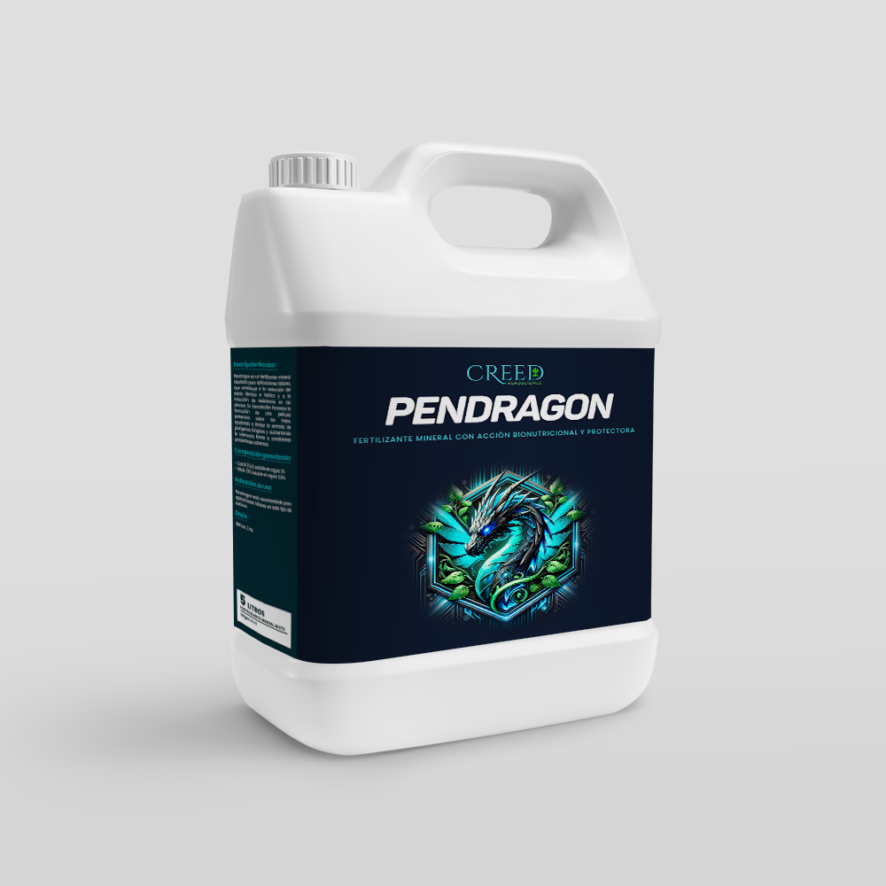 Creed – Frente Pendragon 2