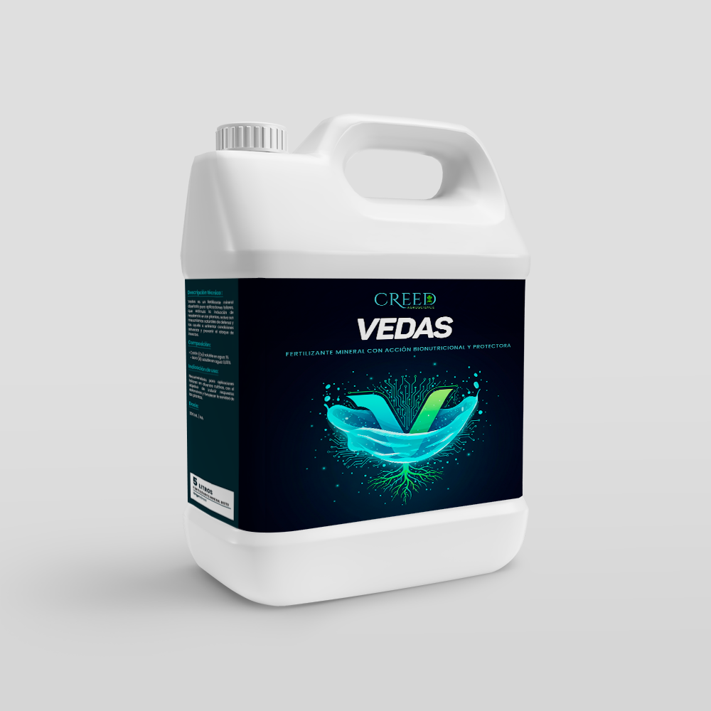 Creed – Frente Vedas 2