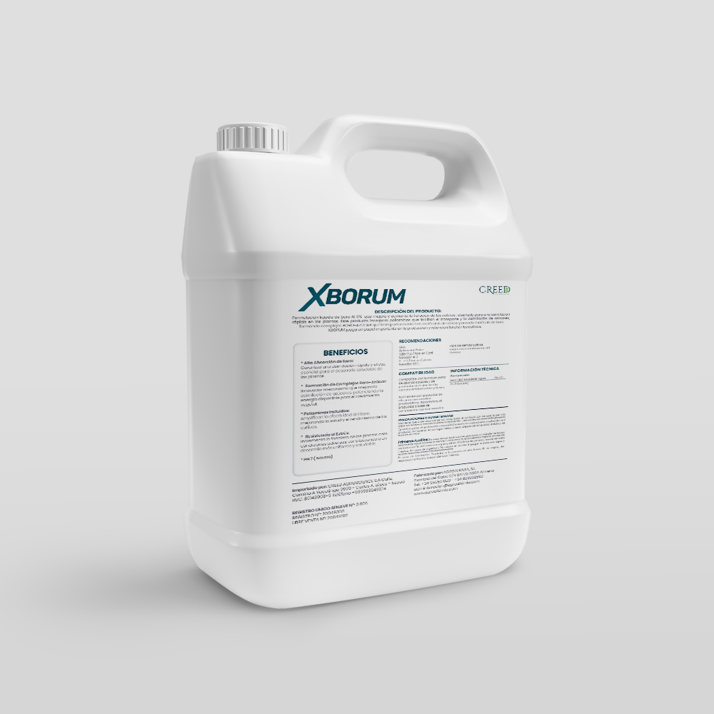 Creed – Verso Xborum 2